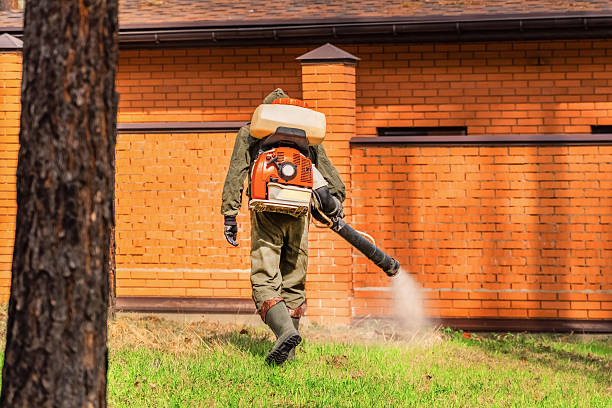 Bed Bug Clearance Verification and Documentation in Rosebud